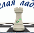 Белая ладья - ДДЮТ Всеволожского района