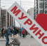 Муринская библиотека проводит конкурс стихов ко дню города - Всеволожские вести онлайн