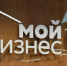 Муниципальные фонды - в помощь малому и среднему бизнесу - Всеволожский район