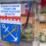 Ленобласть усилит борьбу с фейками в преддверии выборов - Всеволожские вести онлайн