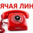 «В борьбе с коррупцией главное – это неизбежность наказания, последовательность и бескомпромиссность» - Всеволожский район